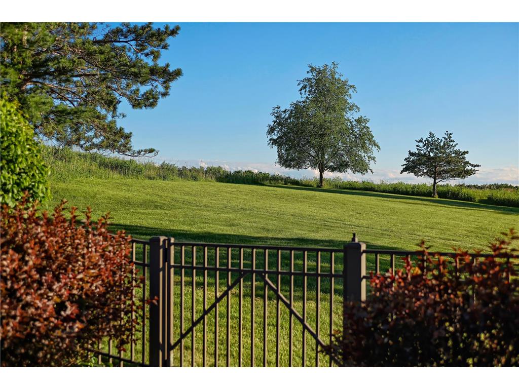 31665 County Road 1 Dresbach Twp MN 55947 7096230 image41