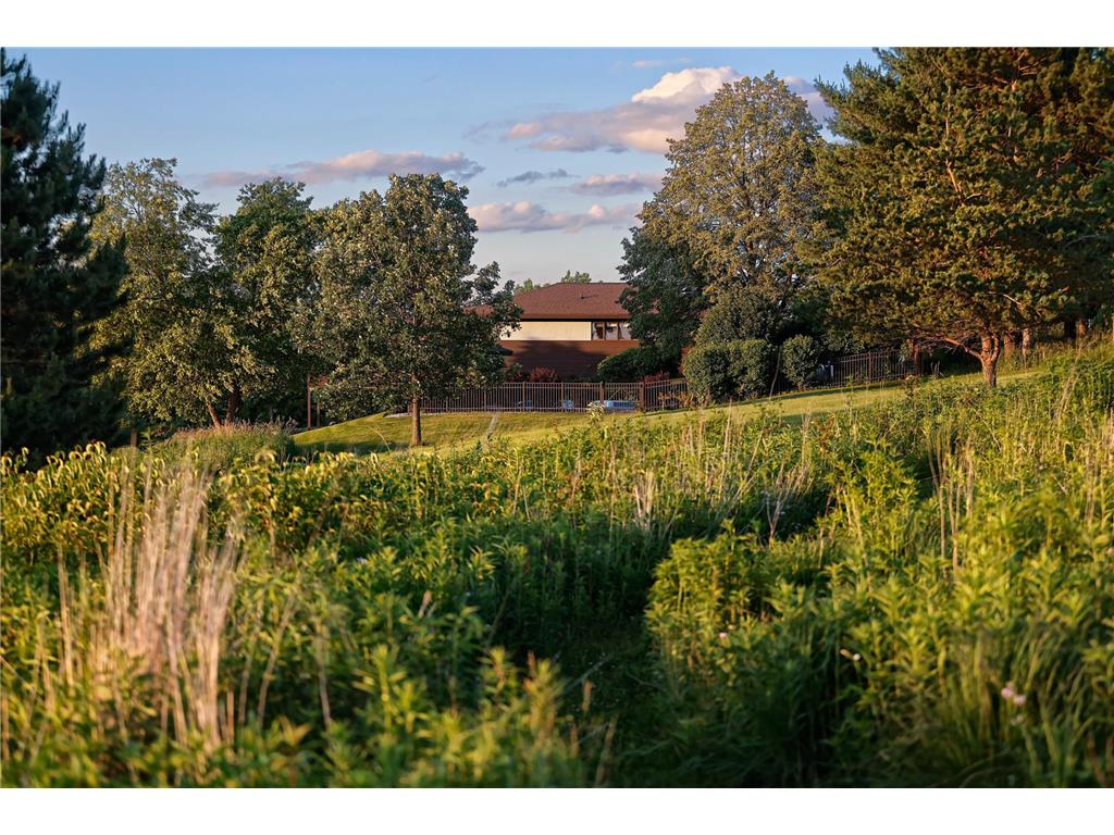 31665 County Road 1 Dresbach Twp MN 55947 7096230 image44