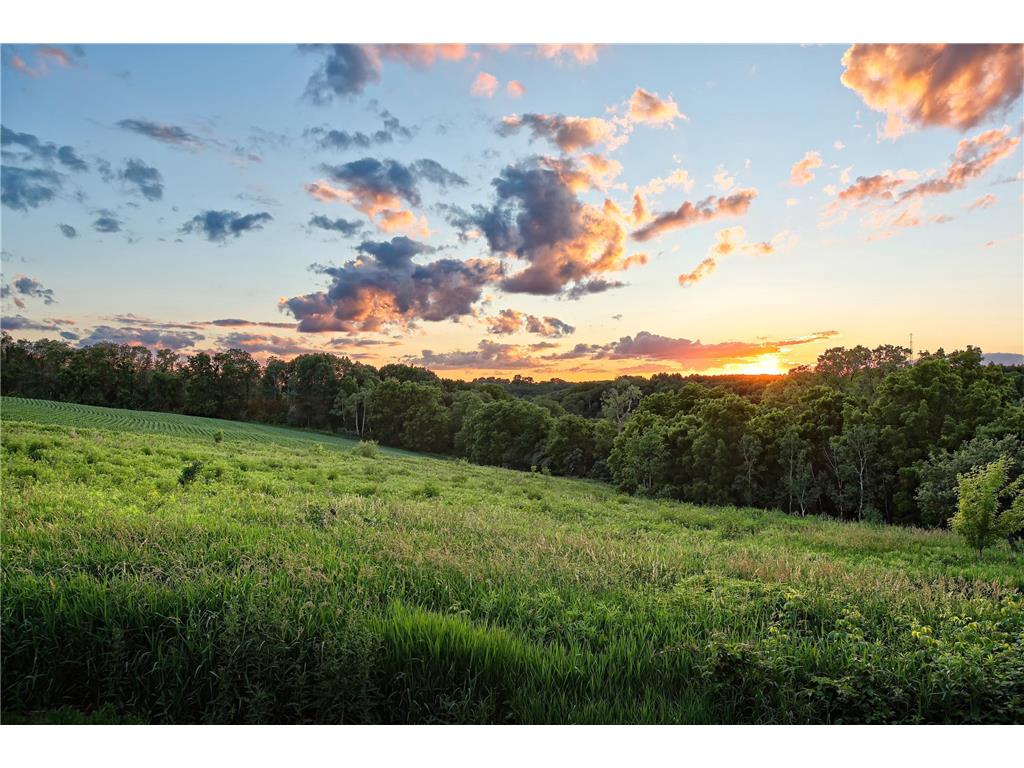 31665 County Road 1 Dresbach Twp MN 55947 7096230 image48