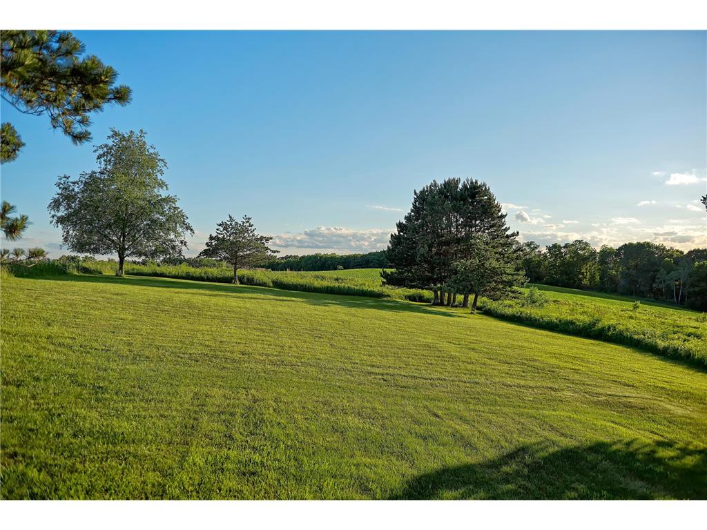 31665 County Road 1 Dresbach Twp MN 55947 7096230 image49