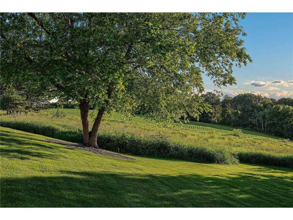 31665 County Road 1 Dresbach Twp MN 55947 7096230 image50