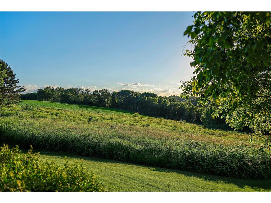 31665 County Road 1 Dresbach Twp MN 55947 7096230 image51