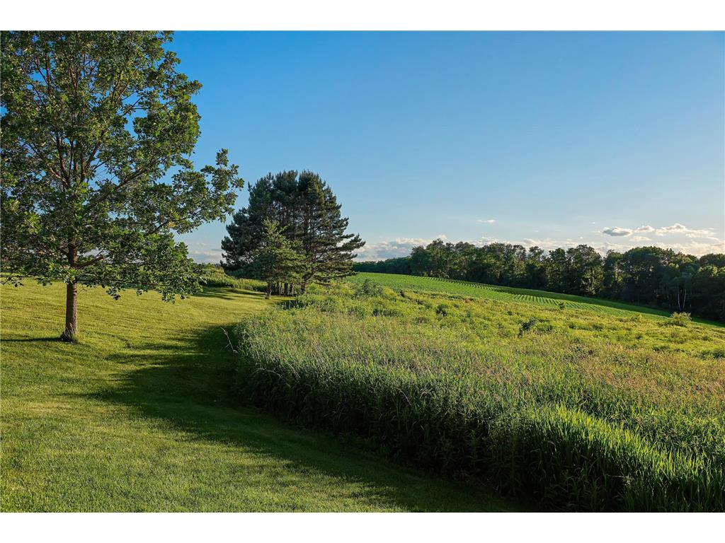 31665 County Road 1 Dresbach Twp MN 55947 7096230 image52
