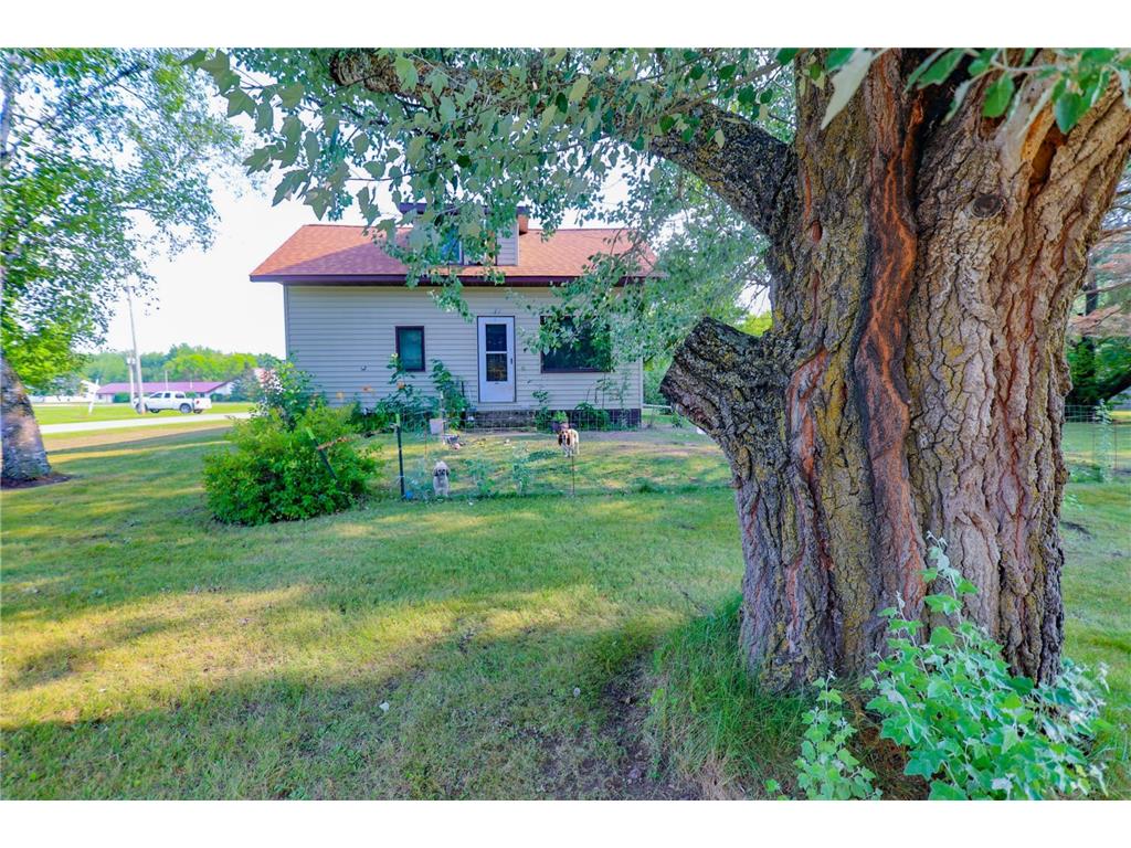 317 1st Street SE Sebeka MN 56477 6415236 image1