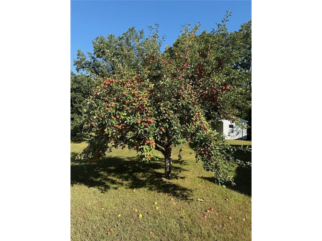 317 2nd Street NE Menahga MN 56464 6749892 image35