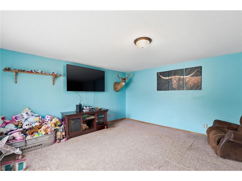 317 3rd Avenue W Osakis MN 56360 7075162 image11