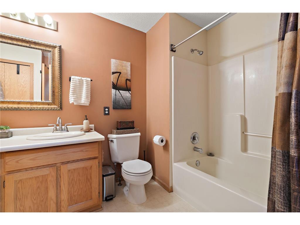 317 Creekside Drive Buffalo MN 55313 7102491 image19
