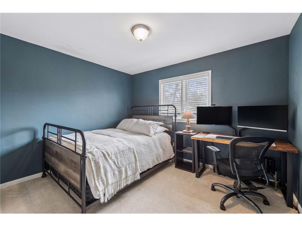 317 E 1st Street Waconia MN 55387 7050384 image18