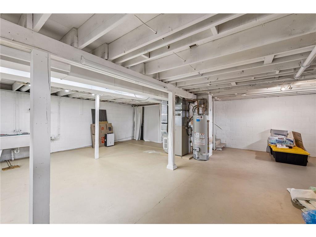 317 E 1st Street Waconia MN 55387 7050384 image25