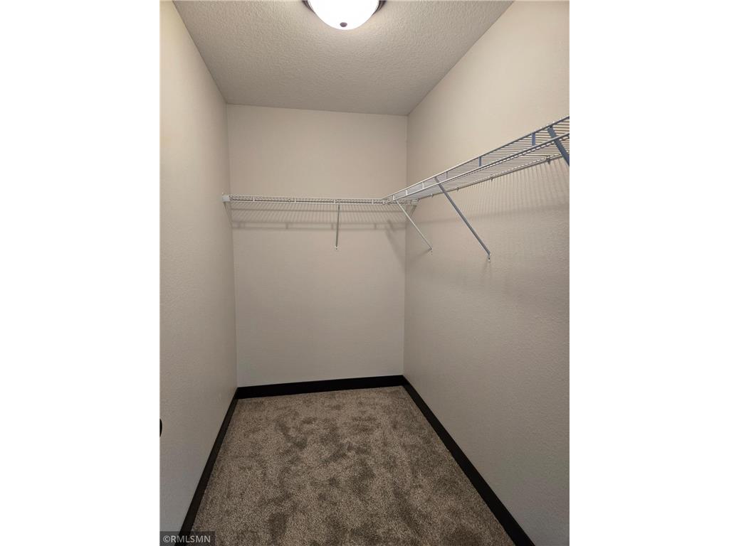 317 Falcon Run Eagle Lake MN 56024 6818131 image19