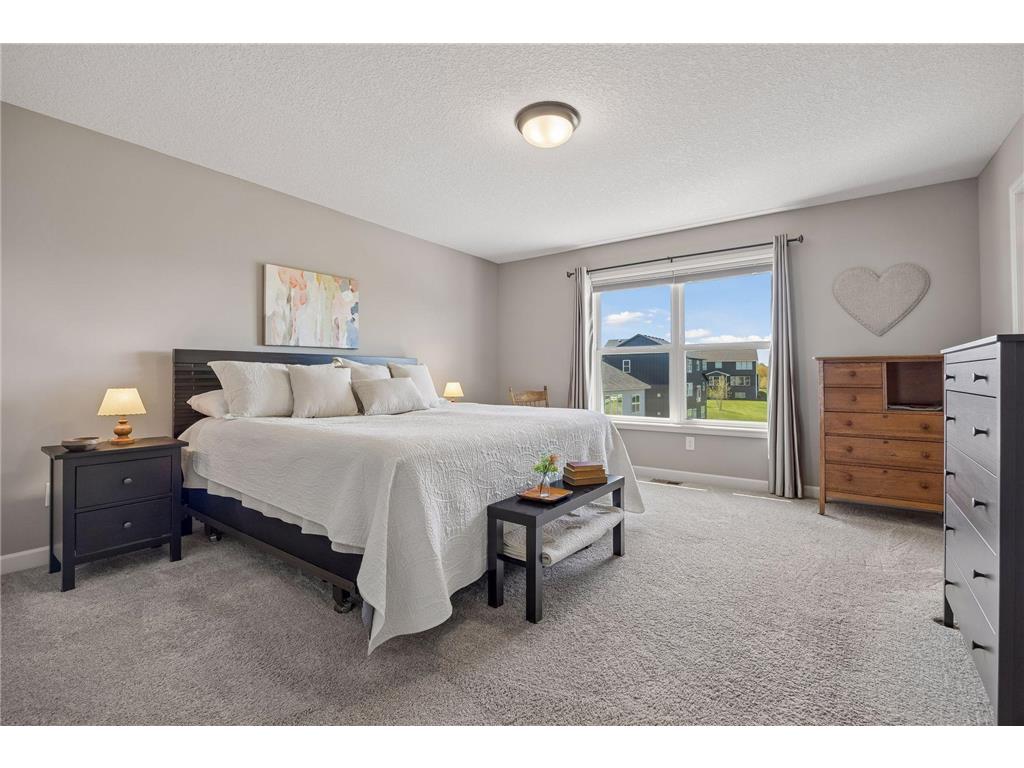 317 Franklin Avenue W Delano MN 55328 7059564 image20