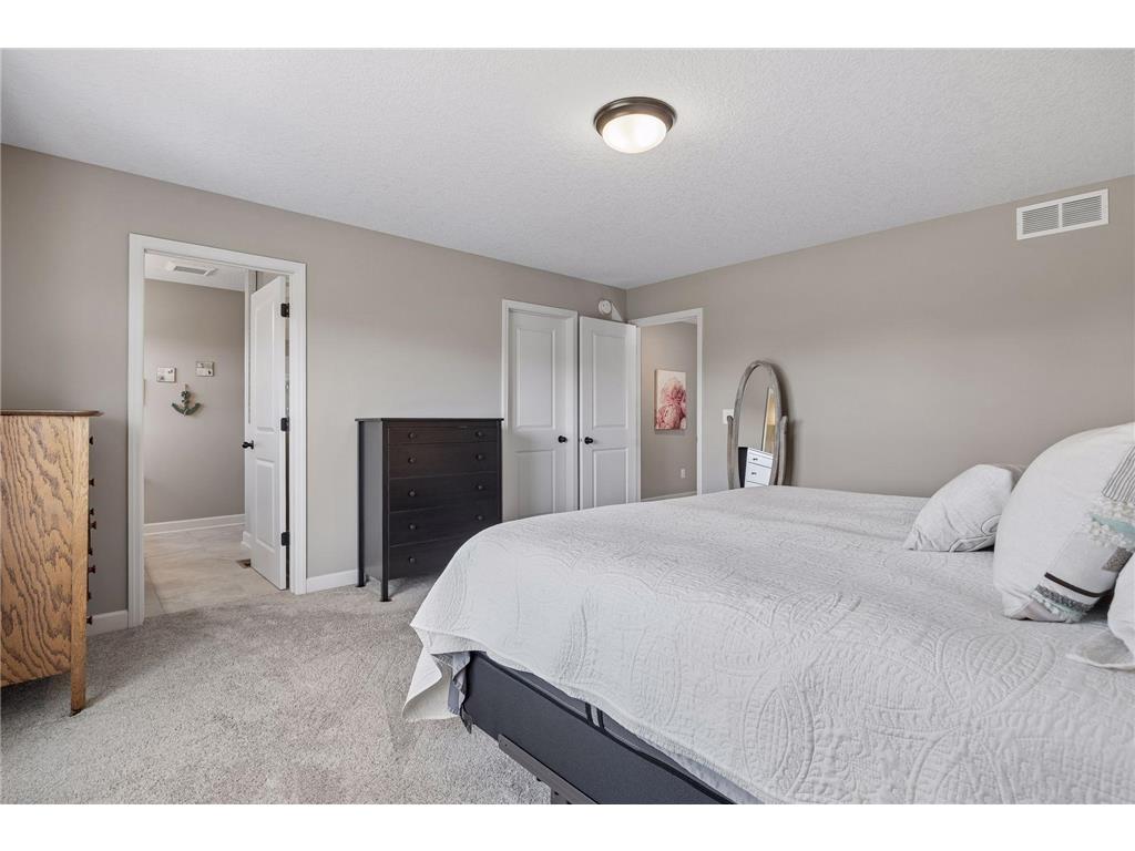 317 Franklin Avenue W Delano MN 55328 7059564 image21