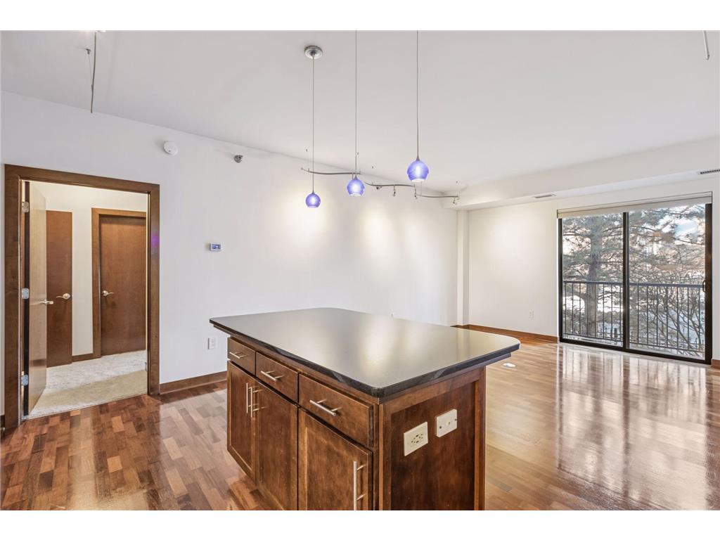 317 Groveland Avenue #116 Minneapolis MN 55403 7045646 image11