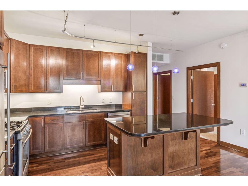 317 Groveland Avenue #116 Minneapolis MN 55403 7045646 image9