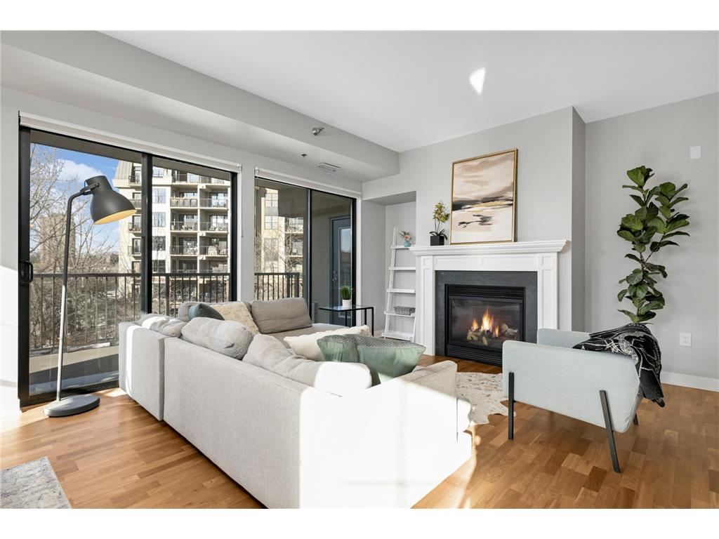 317 Groveland Avenue #305 Minneapolis MN 55403 7007639 image1