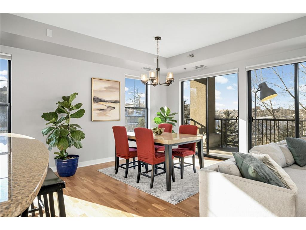 317 Groveland Avenue #305 Minneapolis MN 55403 7007639 image12
