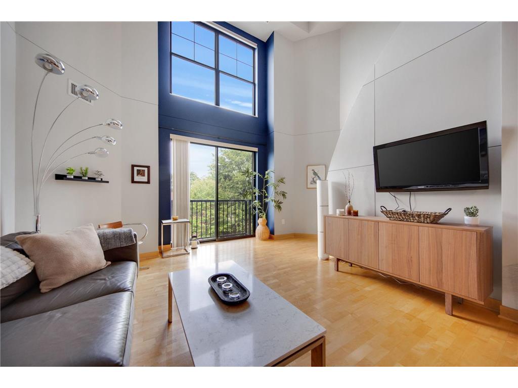 317 Groveland Avenue #317 Minneapolis MN 55403 6786646 image1