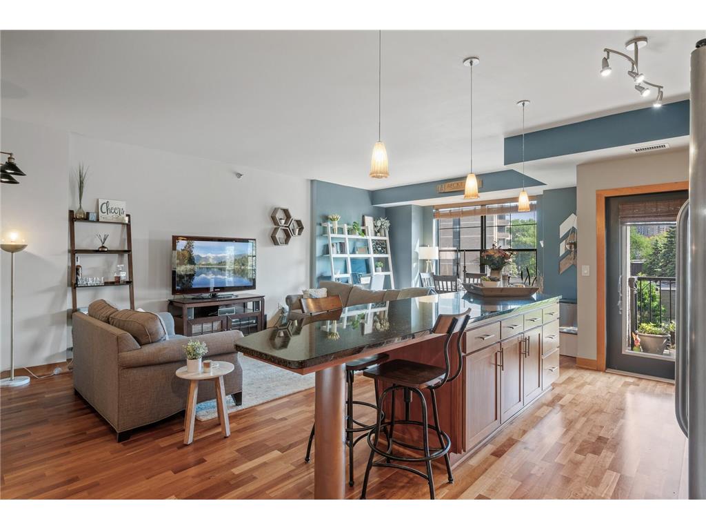 317 Groveland Avenue #420 Minneapolis MN 55403 6409216 image1