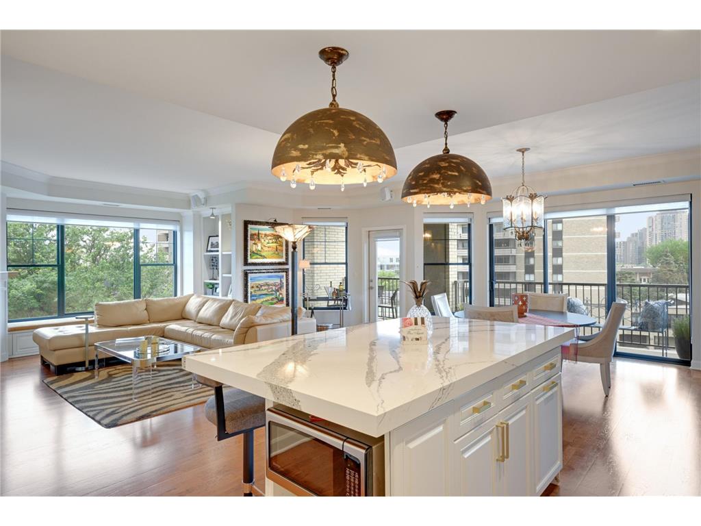 317 Groveland Avenue #519 Minneapolis MN 55403 6237529 image1