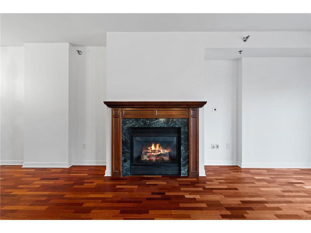 317 Groveland Avenue #521 Minneapolis MN 55403 7058414 image10