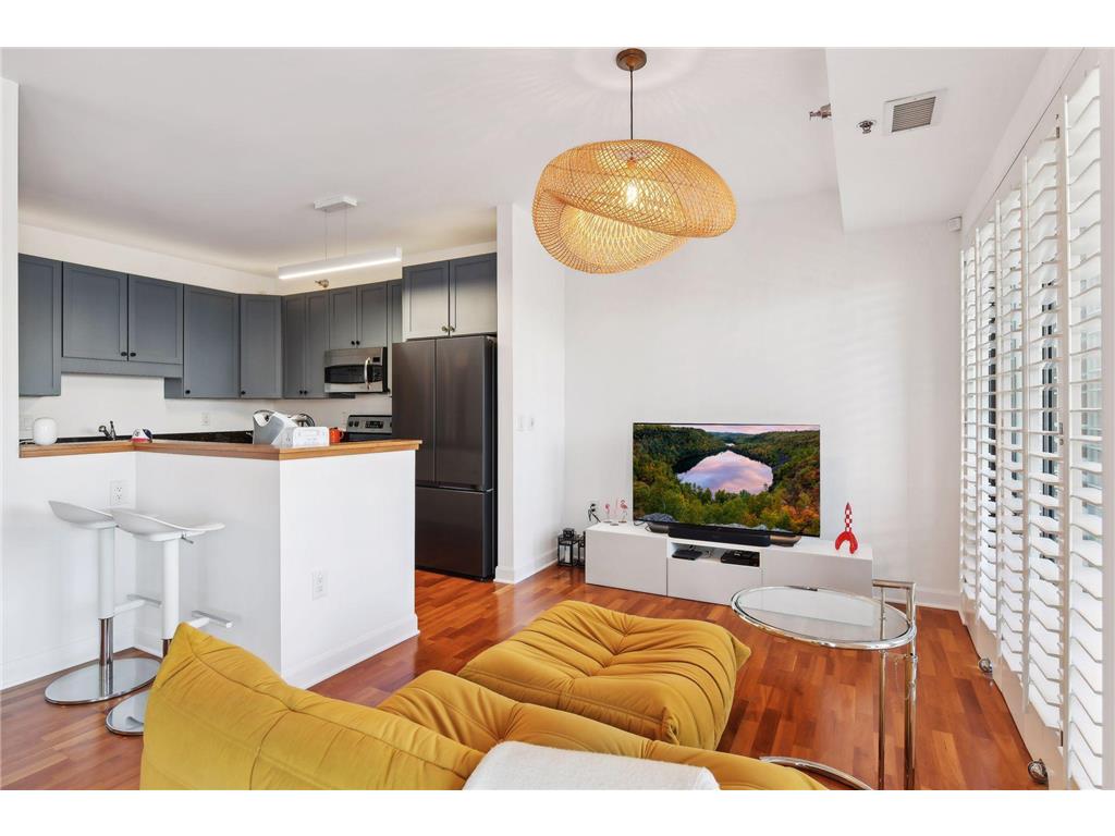 317 Groveland Avenue #620 Minneapolis MN 55403 7059704 image11