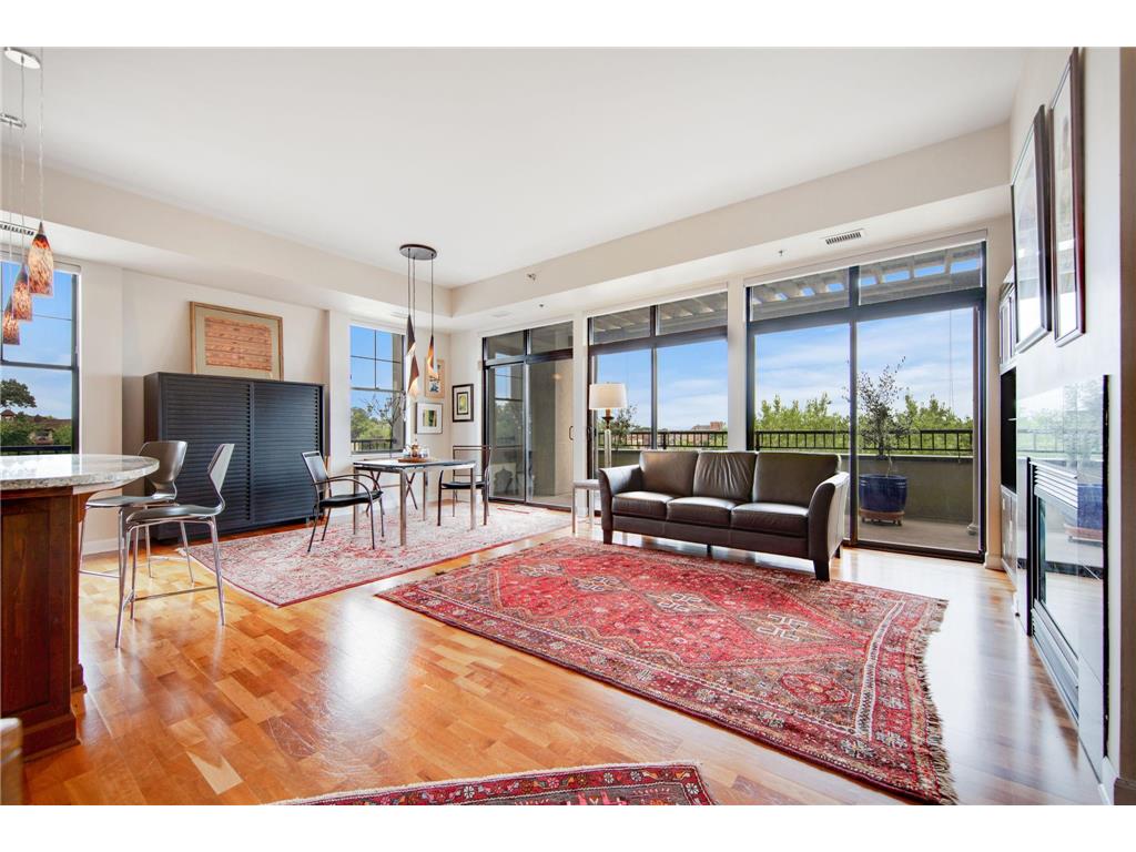 317 Groveland Avenue #705 Minneapolis MN 55403 6767283 image1