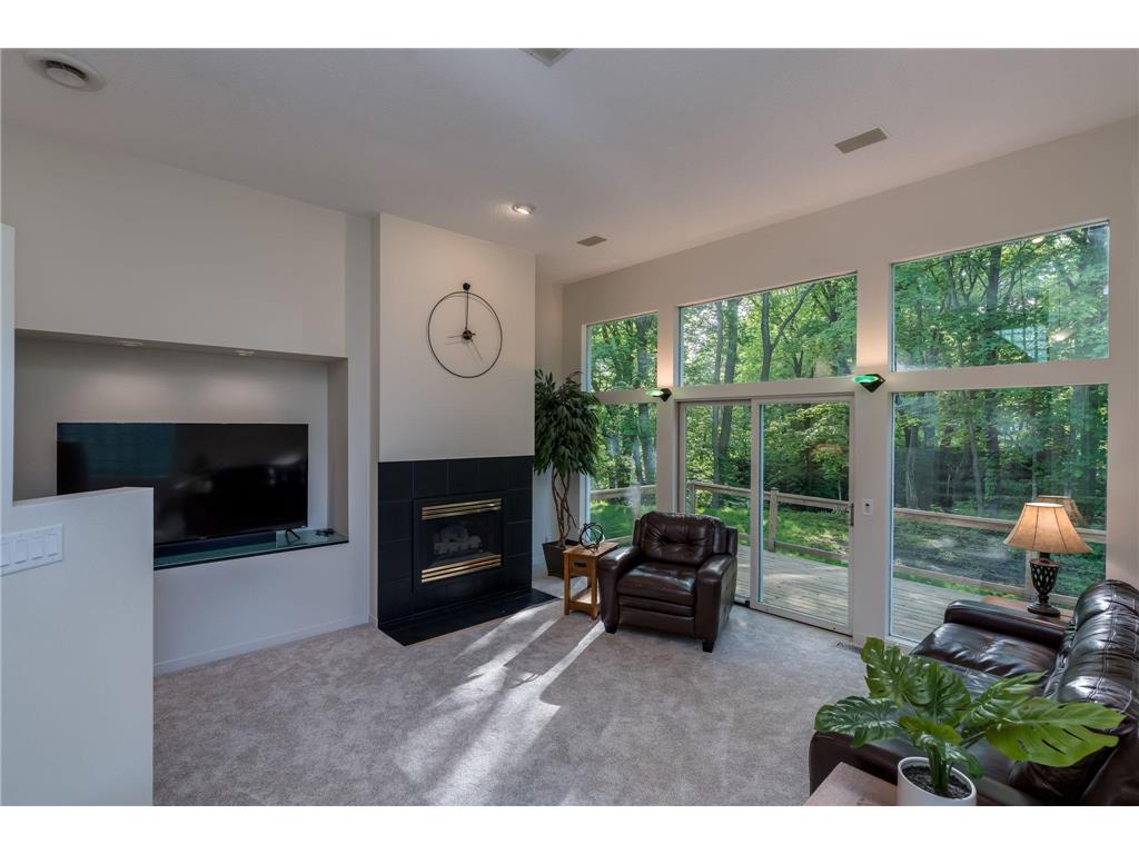 317 Meadow Woods Drive Mankato Twp MN 56001 7077712 image6