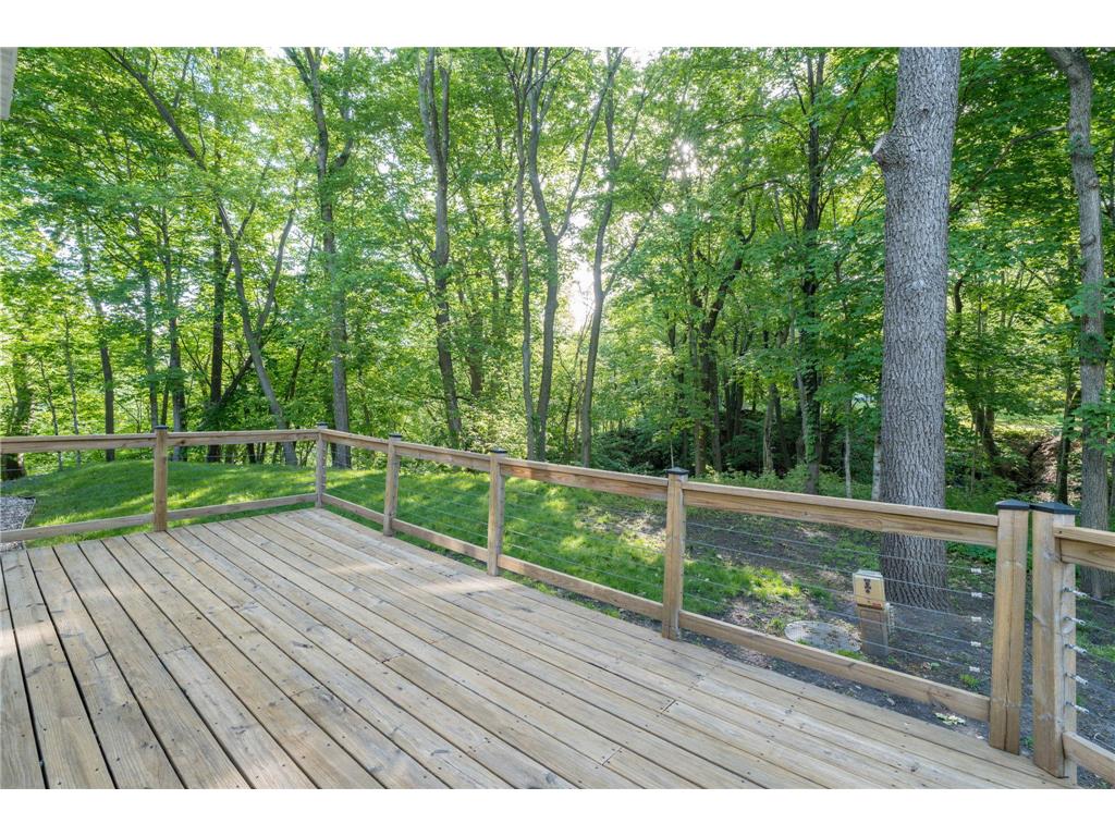 317 Meadow Woods Drive Mankato Twp MN 56001 7077712 image61