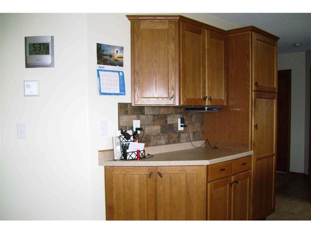 317 Oak Hills Drive Detroit Lakes MN 56501 6823543 image17