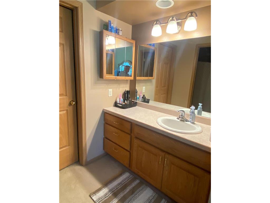 317 Rako Street SW Bemidji MN 56601 - Irving 7058240 image14
