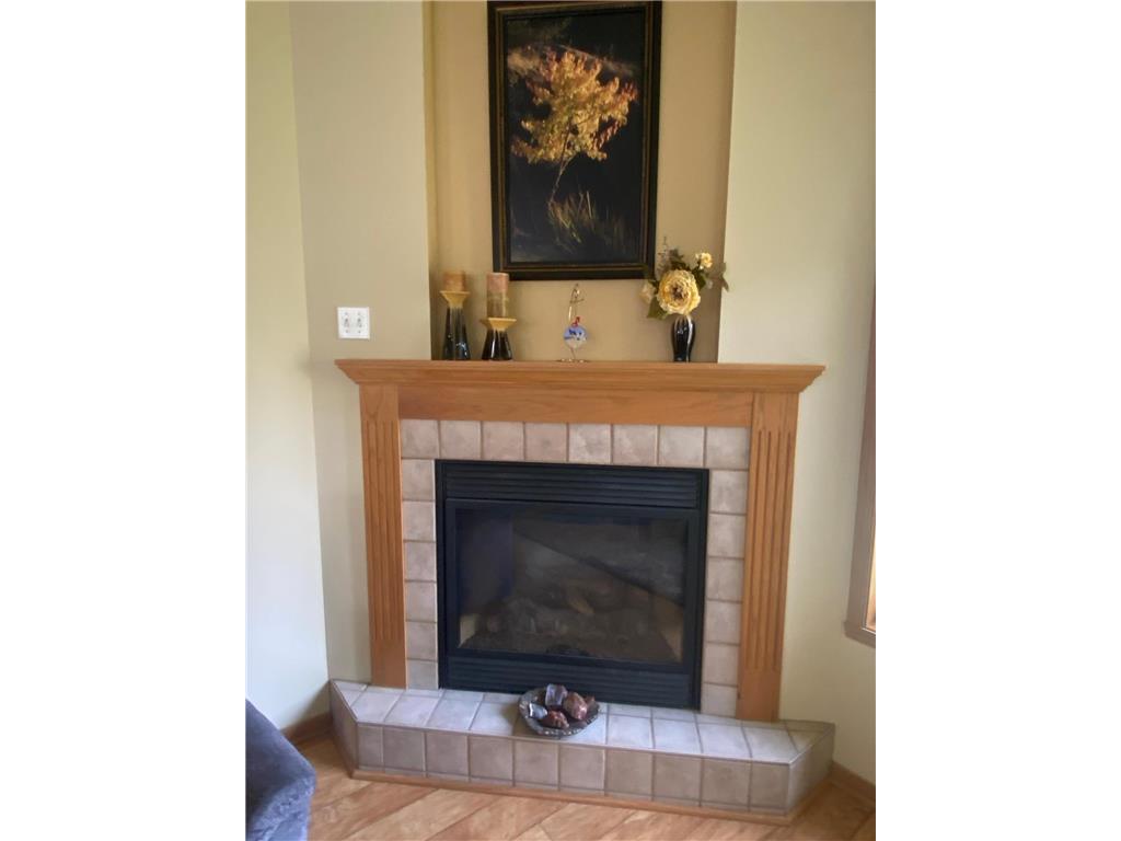 317 Rako Street SW Bemidji MN 56601 - Irving 7058240 image9