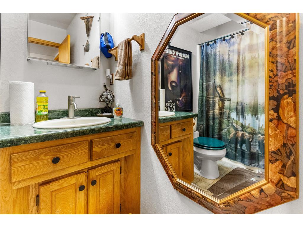 3171 Logan Drive Sturgeon Lake MN 55783 7100504 image18