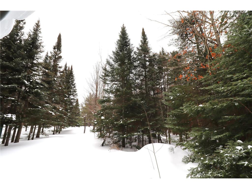 31715 Star Route Road Bayfield Twp WI 54814 7024463 image38