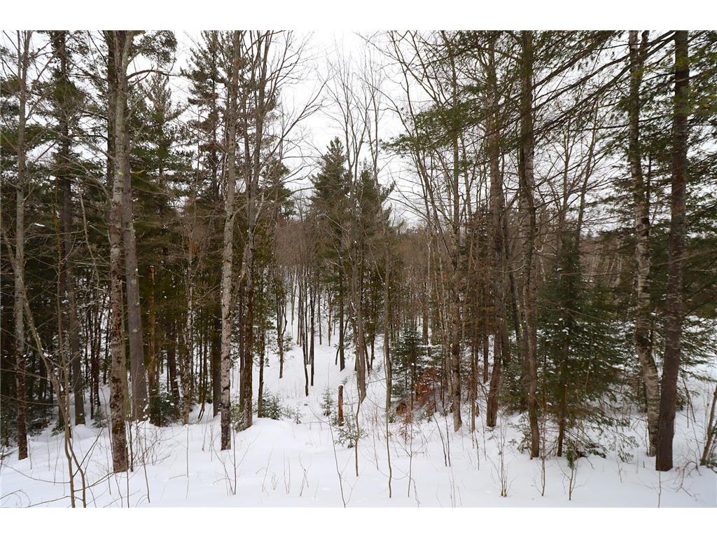 31715 Star Route Road Bayfield Twp WI 54814 7024463 image41