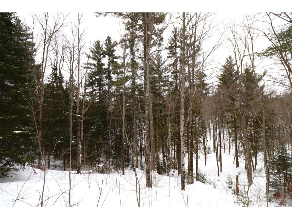 31715 Star Route Road Bayfield Twp WI 54814 7024463 image42