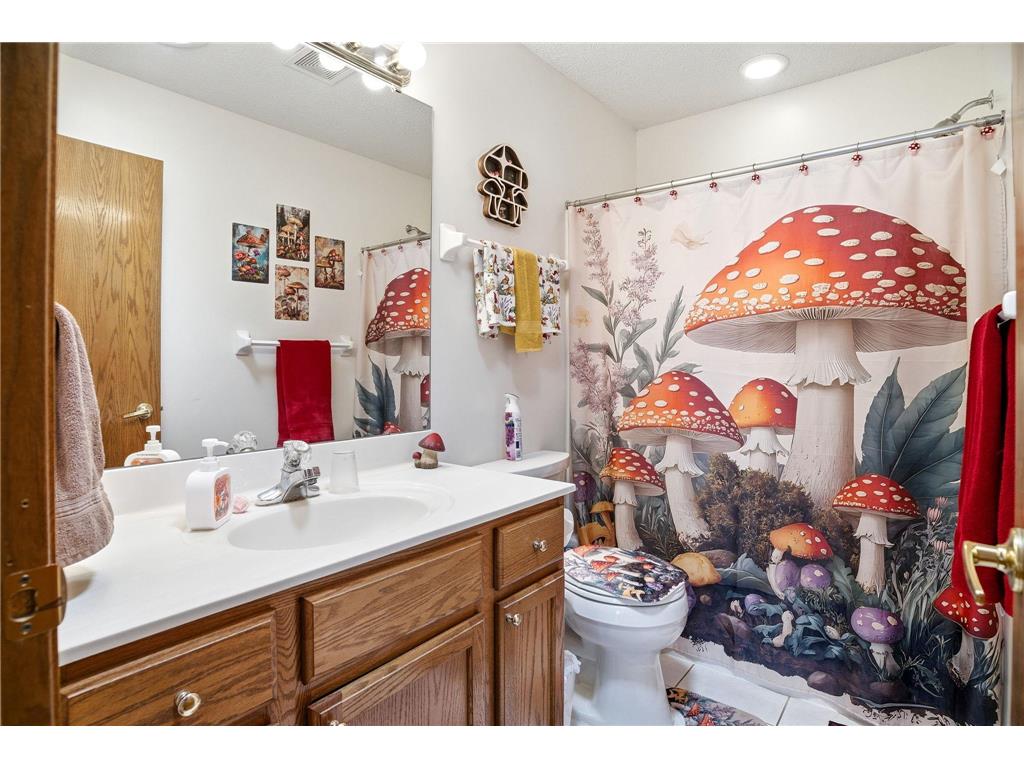 3173 128th Lane NW Coon Rapids MN 55448 7076137 image27