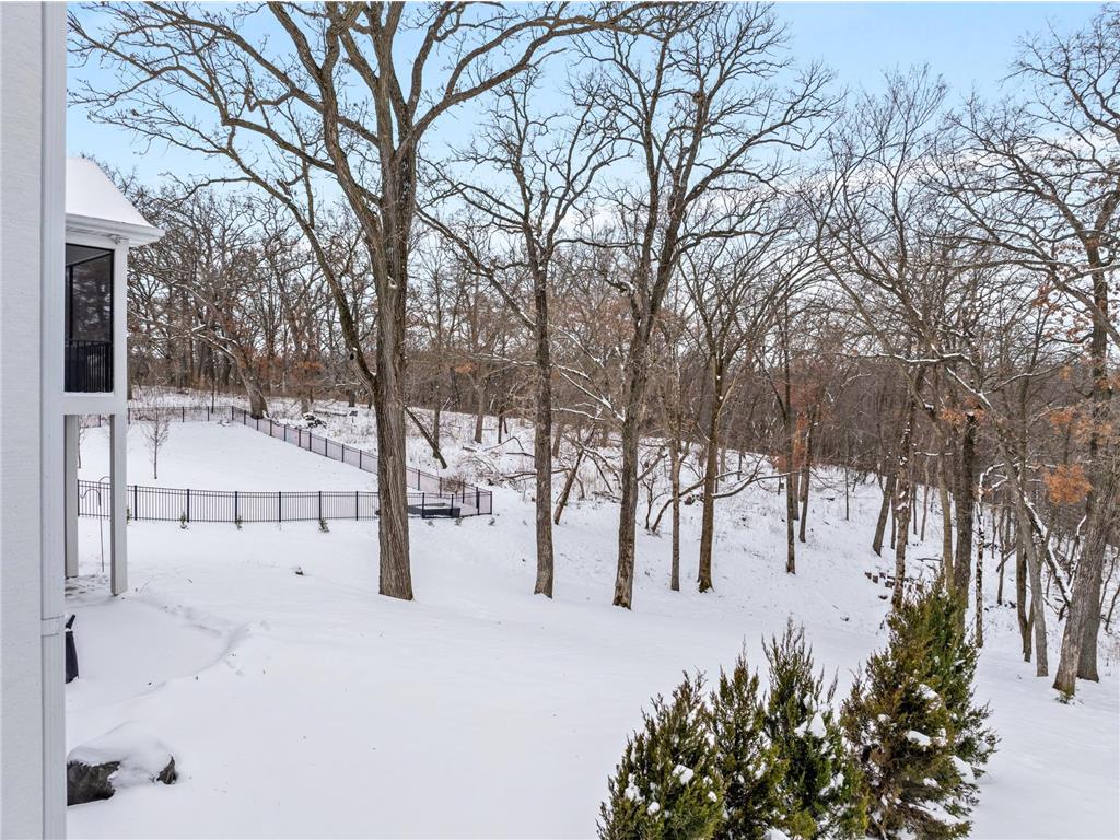 3175 Yellow Rose Lane SW Rochester MN 55902 6824355 image45