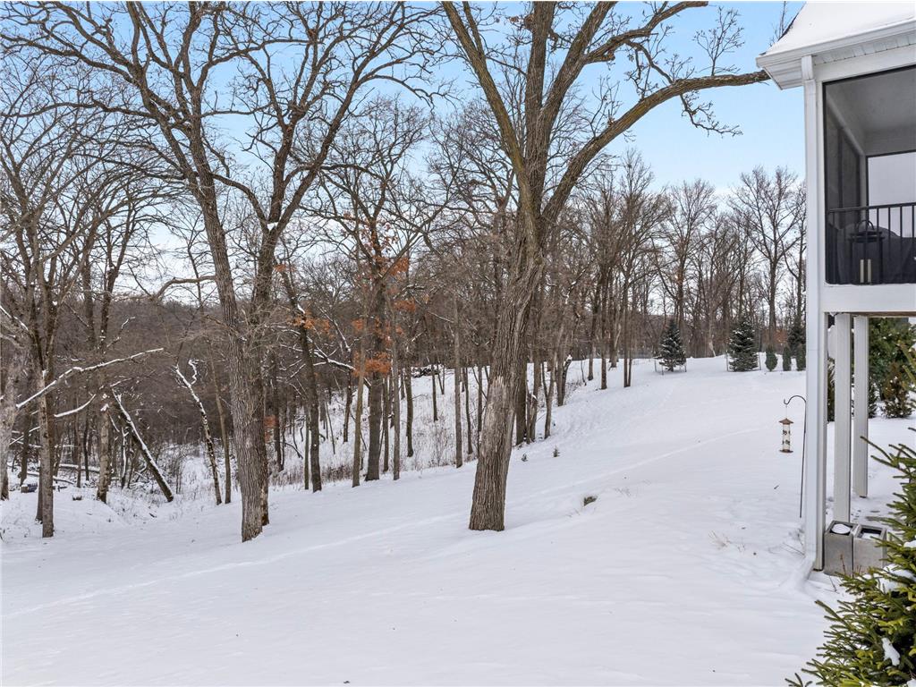 3175 Yellow Rose Lane SW Rochester MN 55902 6824355 image46