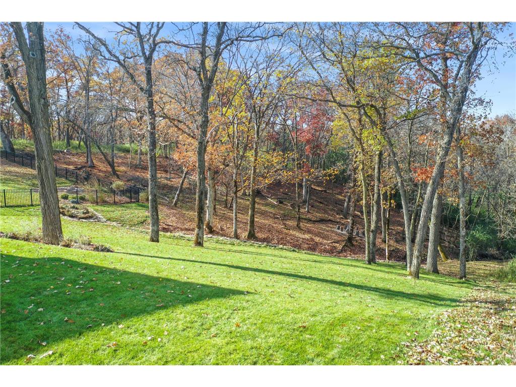 3175 Yellow Rose Lane SW Rochester MN 55902 6824355 image51