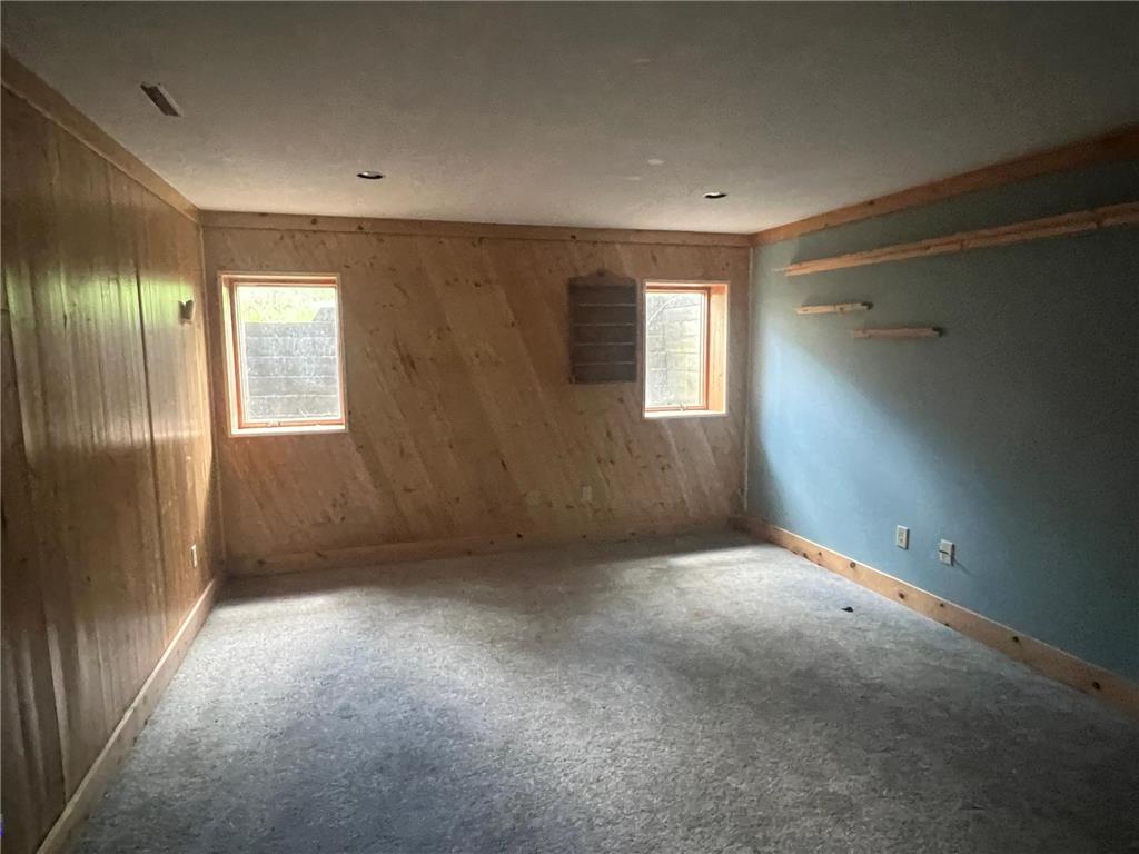 31763 Magnum Road Jordan Twp MN 55923 7066718 image10