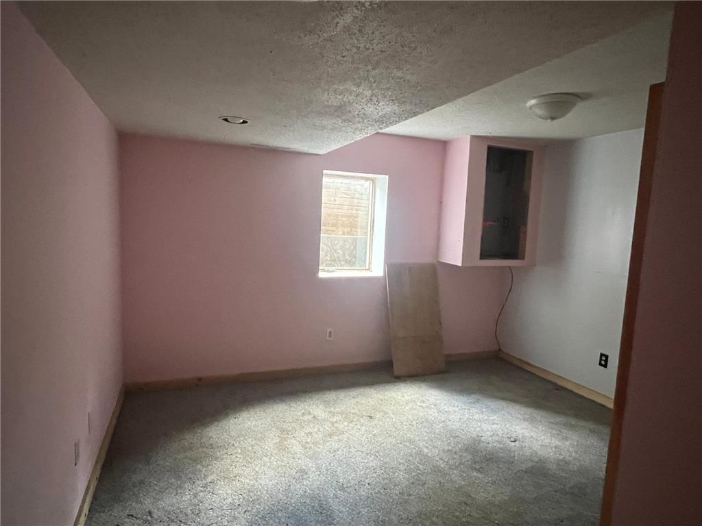 31763 Magnum Road Jordan Twp MN 55923 7066718 image13
