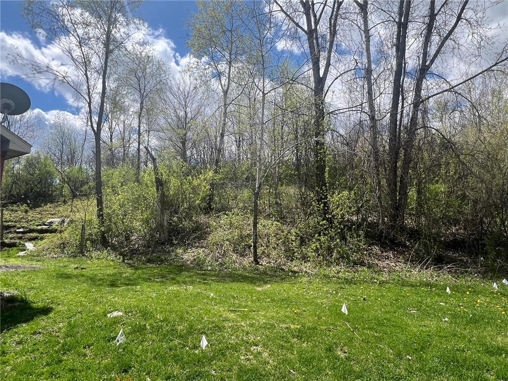 31763 Magnum Road Jordan Twp MN 55923 7066718 image5