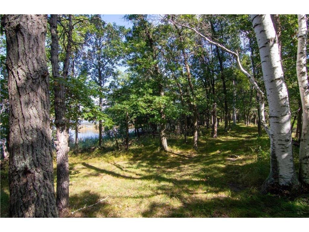 TBD Deacons Way Pelican Twp MN 56472 - Shaffer 7046849 image10