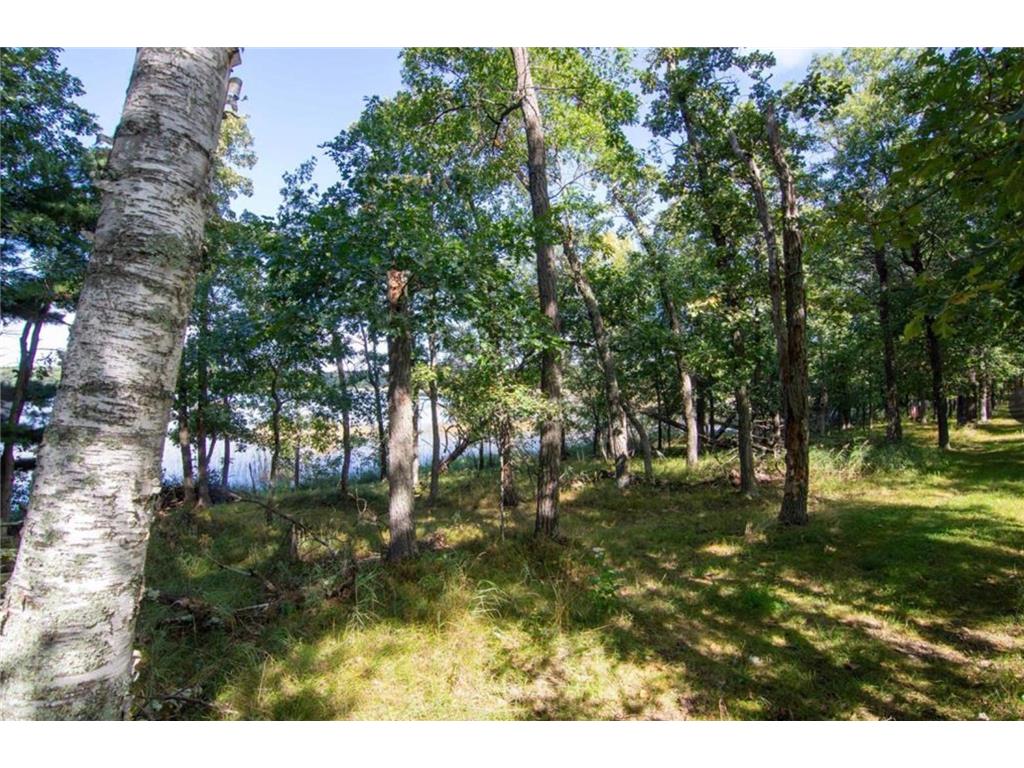 TBD Deacons Way Pelican Twp MN 56472 - Shaffer 7046849 image11
