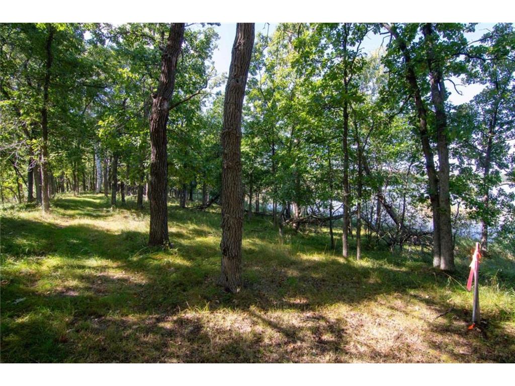 TBD Deacons Way Pelican Twp MN 56472 - Shaffer 7046849 image12