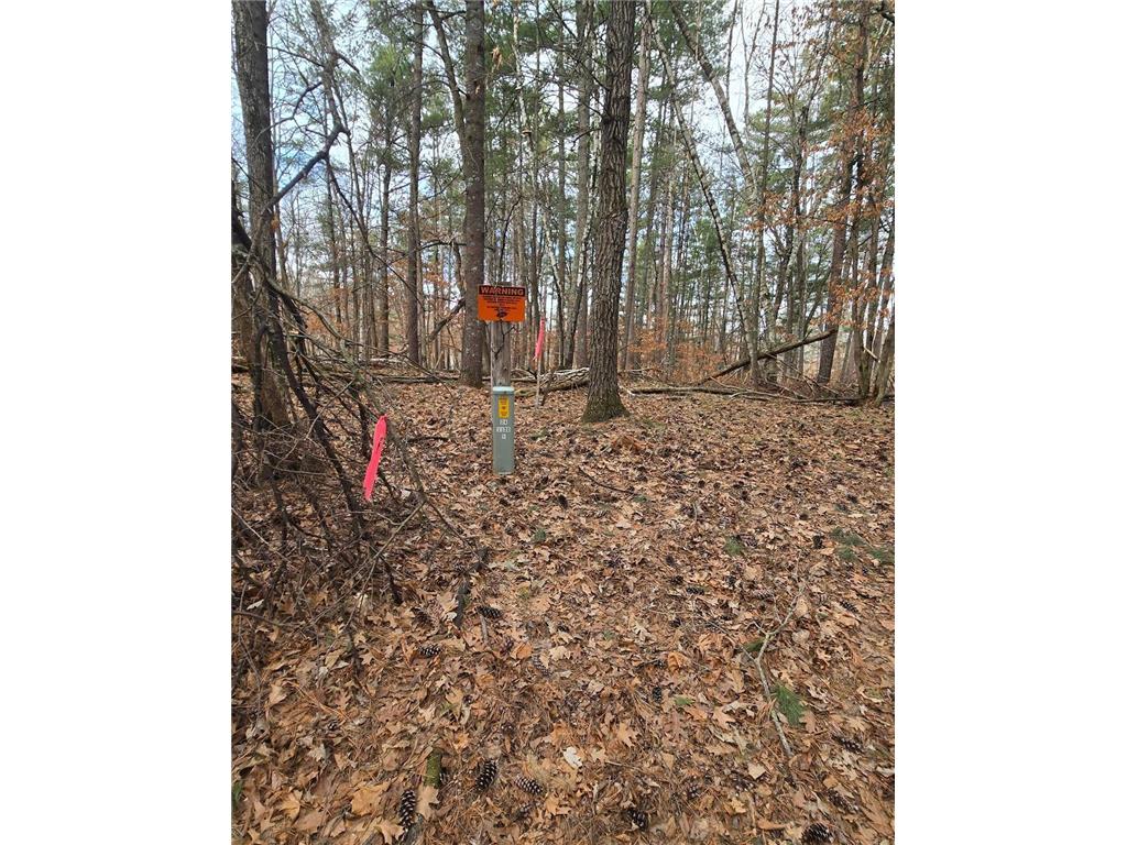 TBD Deacons Way Pelican Twp MN 56472 - Shaffer 7046849 image18