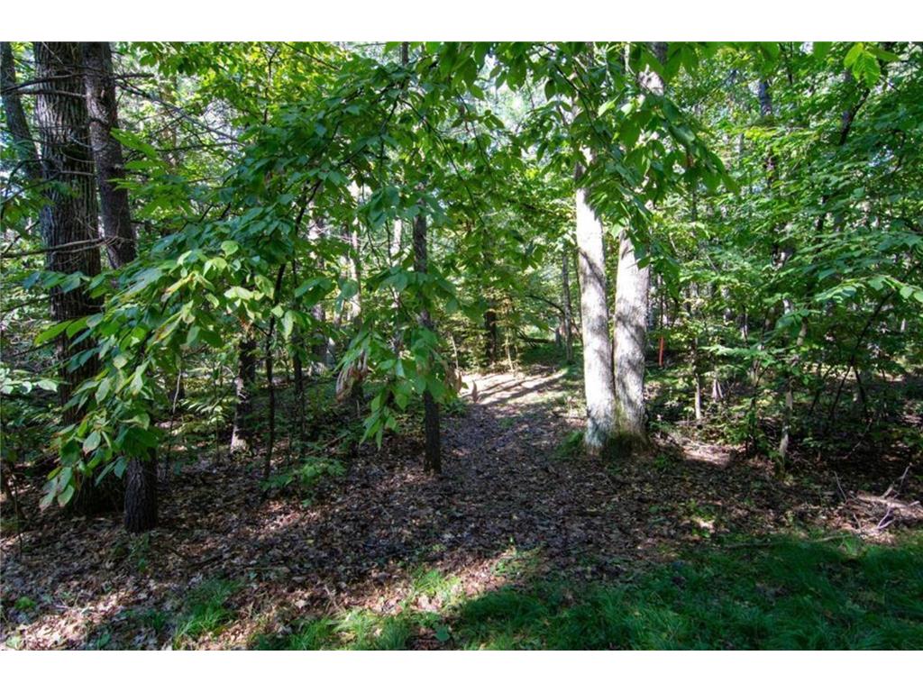 TBD Deacons Way Pelican Twp MN 56472 - Shaffer 7046849 image3