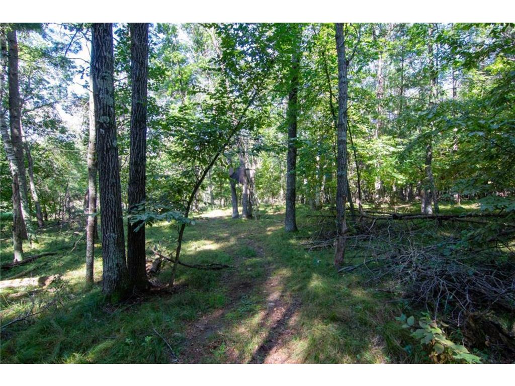 TBD Deacons Way Pelican Twp MN 56472 - Shaffer 7046849 image4