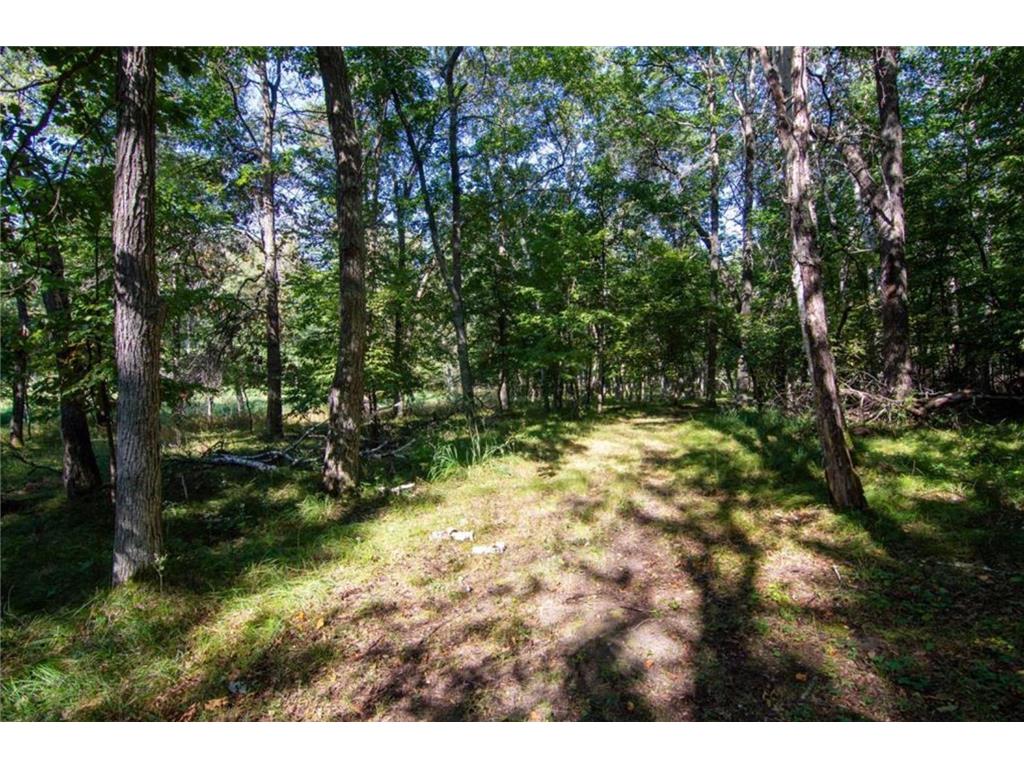 TBD Deacons Way Pelican Twp MN 56472 - Shaffer 7046849 image5