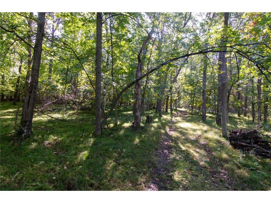 TBD Deacons Way Pelican Twp MN 56472 - Shaffer 7046849 image6